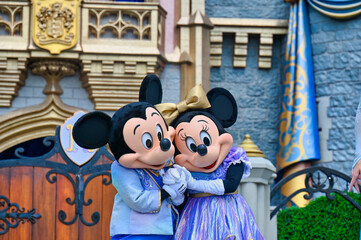 Minnie and mickey blue